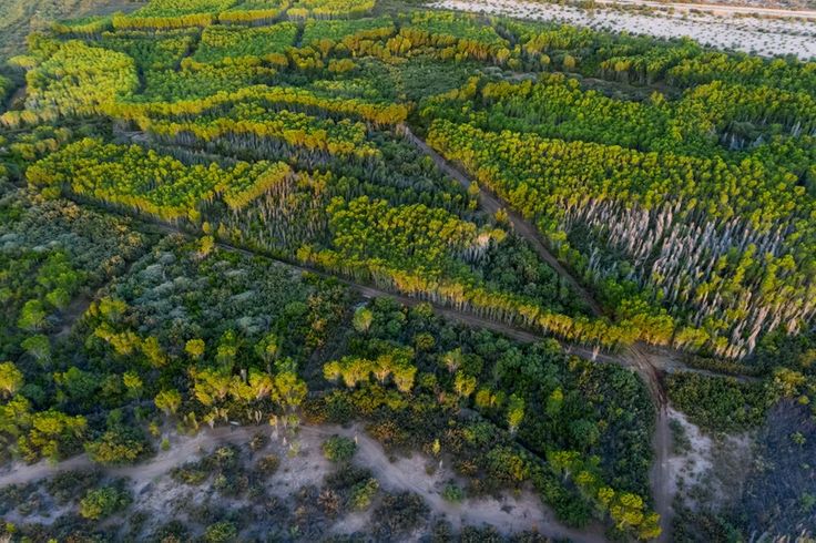 Habitat restoration